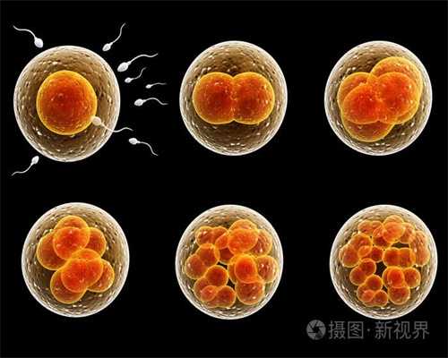 中国正规规孕机构_孕妇吃什么好 推荐孕妇9大营养食物